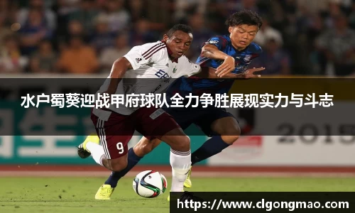 米兰水户蜀葵迎战甲府球队全力争胜展现实力与斗志